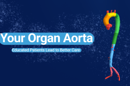 Your Organ Aorta